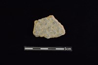 陶片藏品圖，第2張