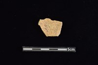 陶片藏品圖，第2張