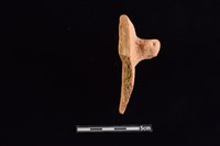 陶缽藏品圖，第4張