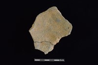 陶片藏品圖，第2張