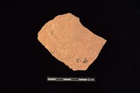 陶片藏品圖，第1張