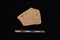 陶片藏品圖，第1張