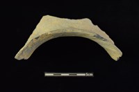 陶罐藏品圖，第3張