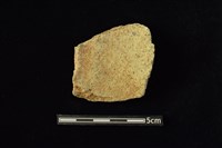 陶罐藏品圖，第2張