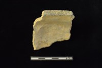 陶缽藏品圖，第3張