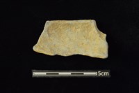 陶缽藏品圖，第2張