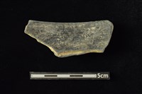 陶缽 藏品圖，第2張