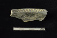 陶缽 藏品圖，第3張