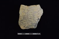 陶片藏品圖，第1張