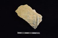 陶片藏品圖，第1張