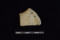 陶片藏品圖，第2張