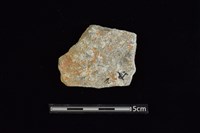 陶片藏品圖，第1張