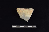 陶片藏品圖，第1張