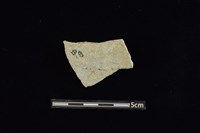 陶片藏品圖，第2張