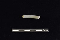 陶環藏品圖，第2張