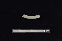 陶環藏品圖，第3張