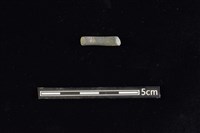 陶環藏品圖，第2張