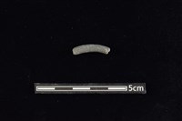 陶環藏品圖，第1張