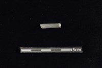 陶環藏品圖，第2張