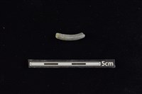 陶環藏品圖，第3張