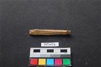 偶蹄類動物骨藏品圖，第1張