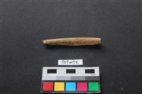 偶蹄類動物骨藏品圖，第2張