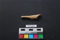 偶蹄類動物骨藏品圖，第1張