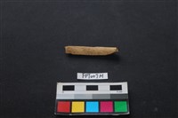 偶蹄類動物骨藏品圖，第1張