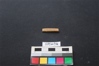 偶蹄類動物骨藏品圖，第1張
