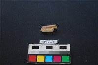 偶蹄類動物骨藏品圖，第1張