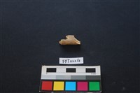 偶蹄類動物骨藏品圖，第1張