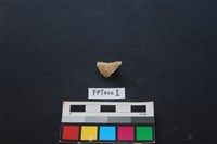 偶蹄類動物骨藏品圖，第2張