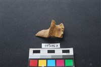 偶蹄類動物骨藏品圖，第1張