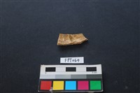 偶蹄類動物骨藏品圖，第2張