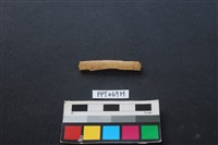偶蹄類動物骨藏品圖，第1張