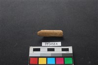 哺乳類動物骨藏品圖，第1張