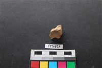 哺乳類動物骨藏品圖，第2張