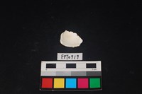貝殼藏品圖，第2張