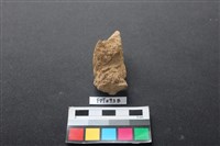 偶蹄類動物骨藏品圖，第2張