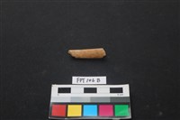 偶蹄類動物骨藏品圖，第1張