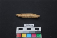 偶蹄類動物骨藏品圖，第2張