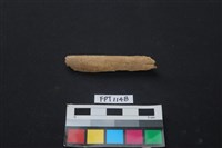 偶蹄類動物骨藏品圖，第1張
