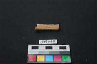 偶蹄類動物骨藏品圖，第1張