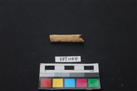 偶蹄類動物骨藏品圖，第2張
