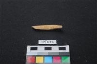 偶蹄類動物骨藏品圖，第1張