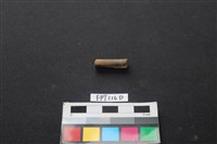 偶蹄類動物骨藏品圖，第1張