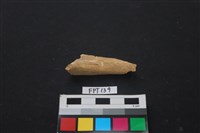 偶蹄類動物骨藏品圖，第1張