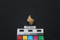 哺乳類動物骨藏品圖，第2張