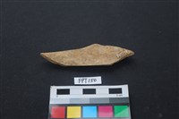 偶蹄類動物骨藏品圖，第2張