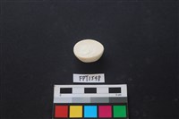 貝殼藏品圖，第2張